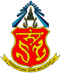 PSM Logo